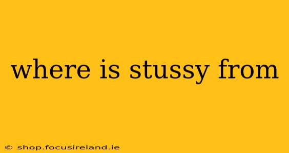 where is stussy from