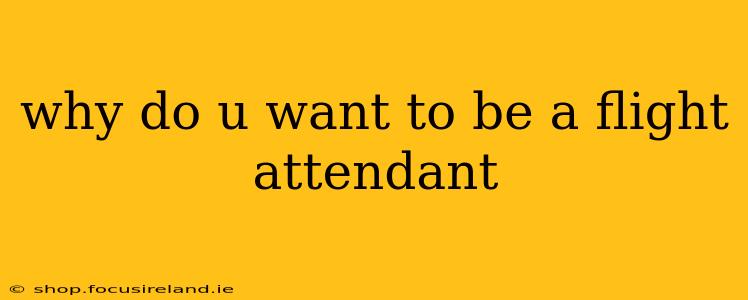 why do u want to be a flight attendant