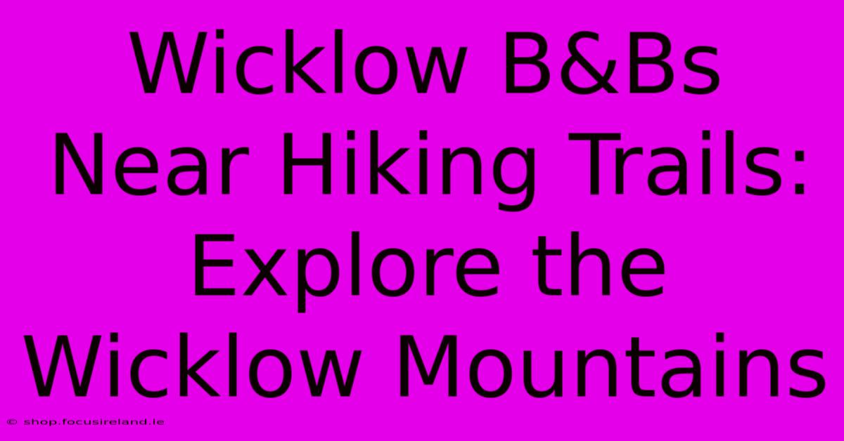 Wicklow B&Bs Near Hiking Trails: Explore The Wicklow Mountains