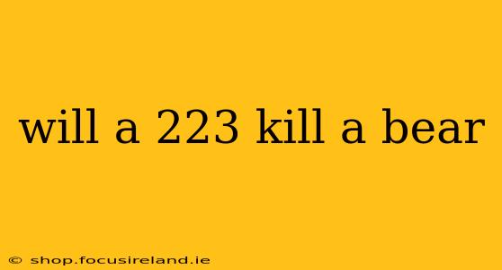 will a 223 kill a bear