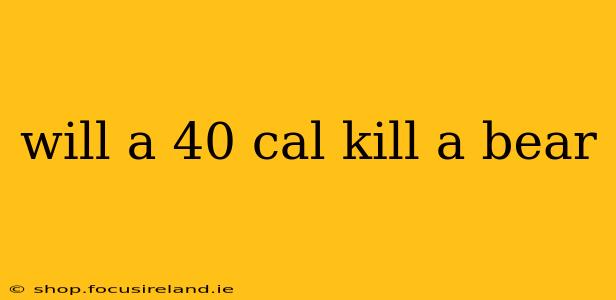 will a 40 cal kill a bear