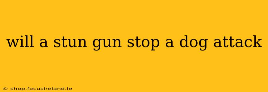 will a stun gun stop a dog attack