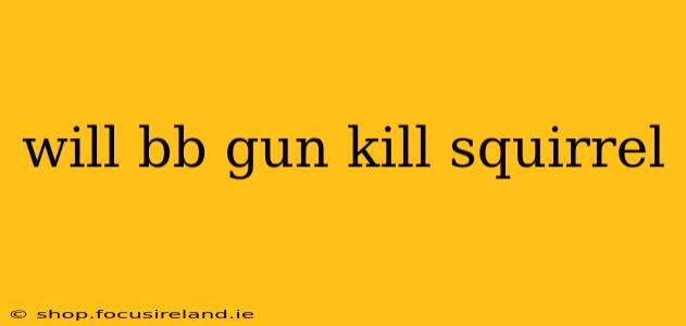 will bb gun kill squirrel