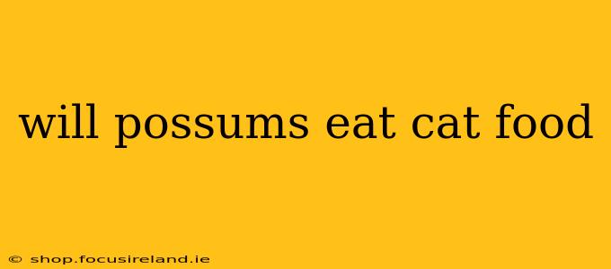 will possums eat cat food