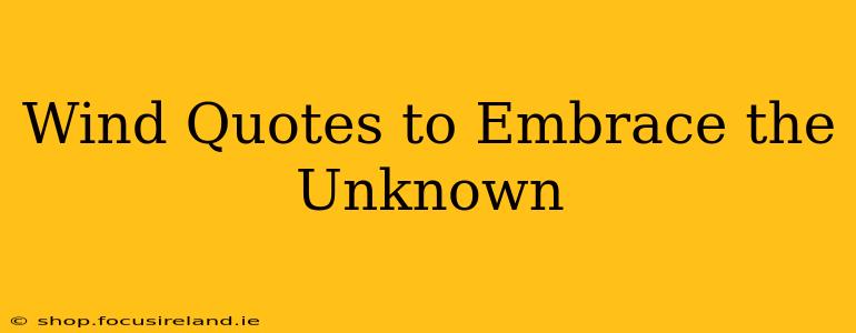 Wind Quotes to Embrace the Unknown
