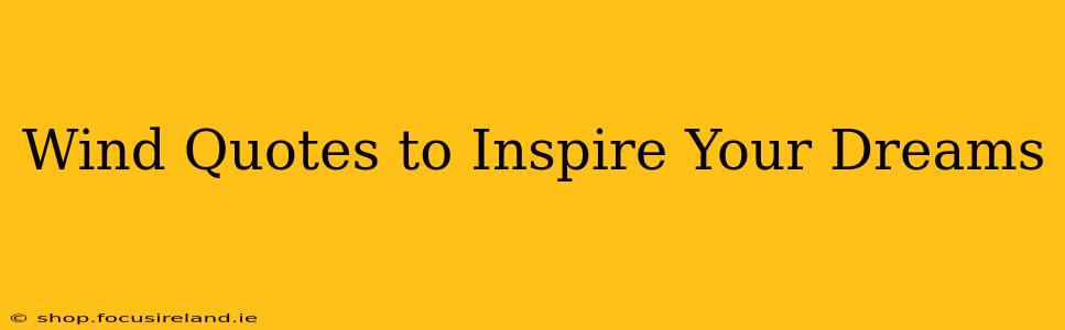 Wind Quotes to Inspire Your Dreams