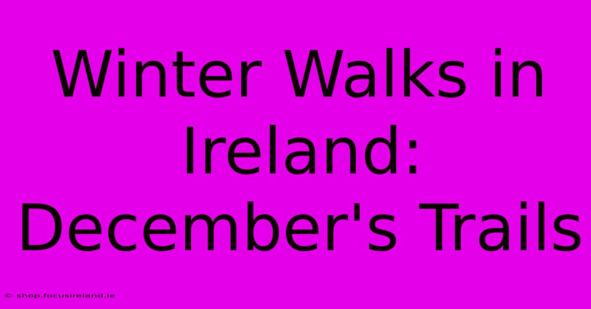 Winter Walks In Ireland: December's Trails