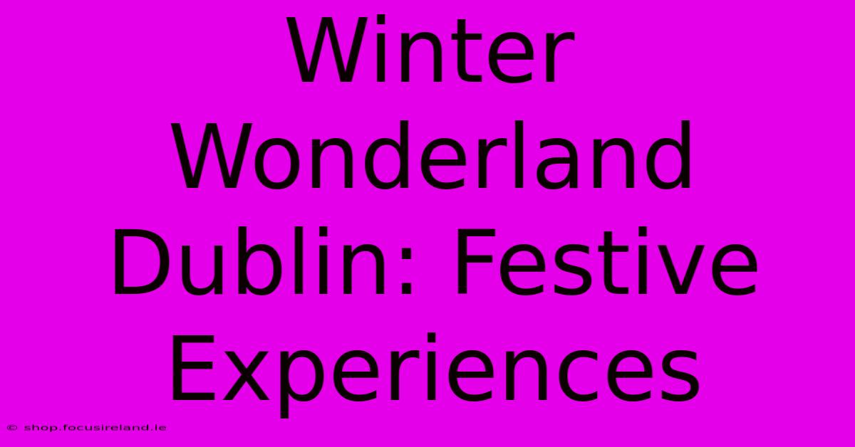 Winter Wonderland Dublin: Festive Experiences