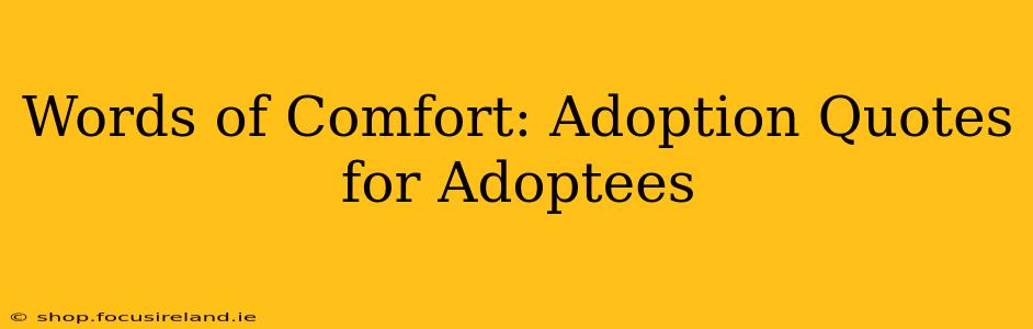 Words of Comfort: Adoption Quotes for Adoptees