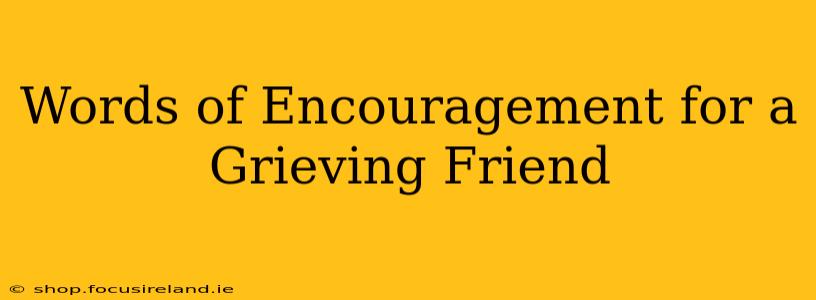 Words of Encouragement for a Grieving Friend