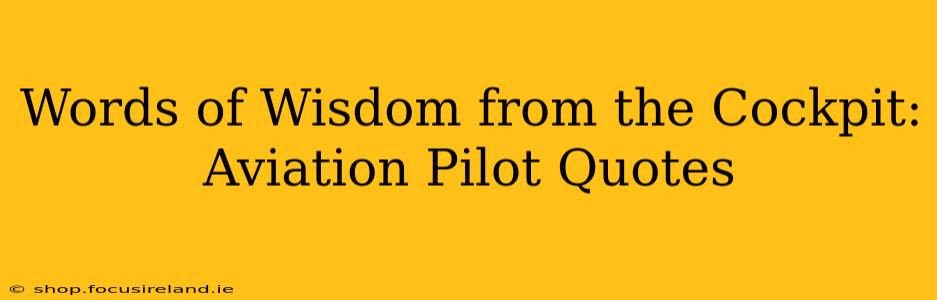 Words of Wisdom from the Cockpit: Aviation Pilot Quotes