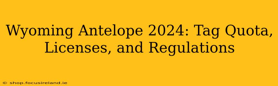 Wyoming Antelope 2024: Tag Quota, Licenses, and Regulations