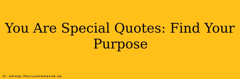 You Are Special Quotes: Find Your Purpose
