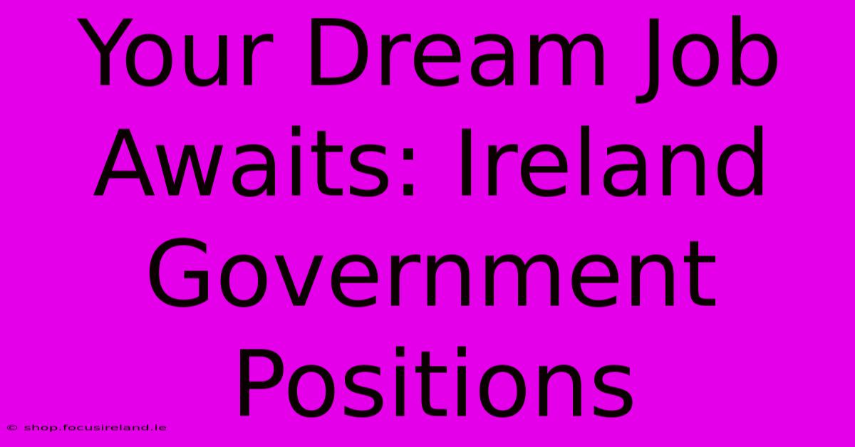 Your Dream Job Awaits: Ireland Government Positions