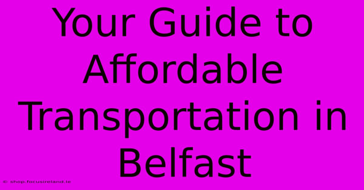 Your Guide To Affordable Transportation In Belfast