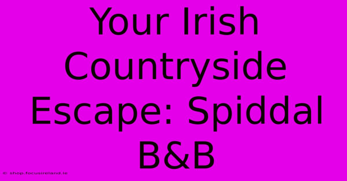 Your Irish Countryside Escape: Spiddal B&B