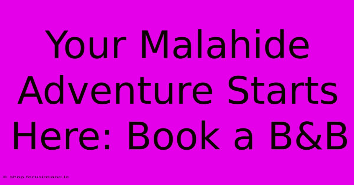 Your Malahide Adventure Starts Here: Book A B&B