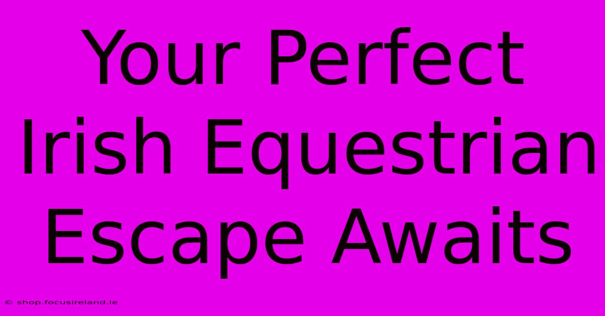 Your Perfect Irish Equestrian Escape Awaits