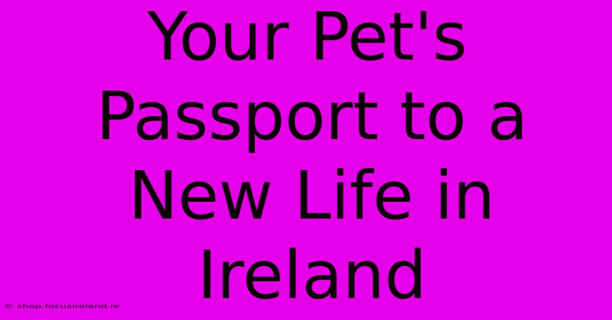 Your Pet's Passport To A New Life In Ireland