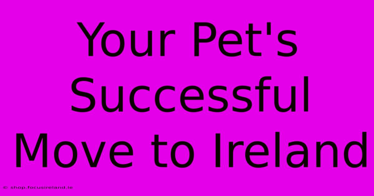 Your Pet's Successful Move To Ireland