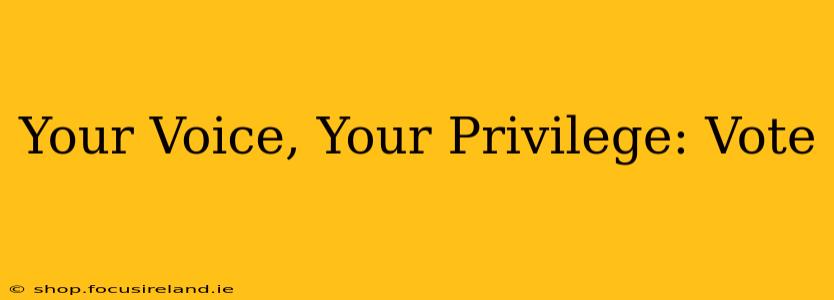 Your Voice, Your Privilege: Vote
